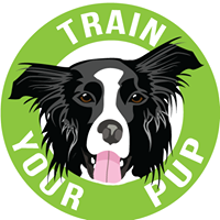 Train Your Pups Canine Enrichment Center