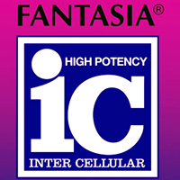 IC Fantasia