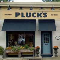 Pluck’s Fine Hair Cutting and Color