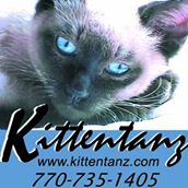 Kittentanz Cattery