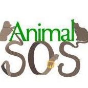 Animal SOS