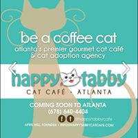 Happy Tabby Cat CafÃƒÂ©