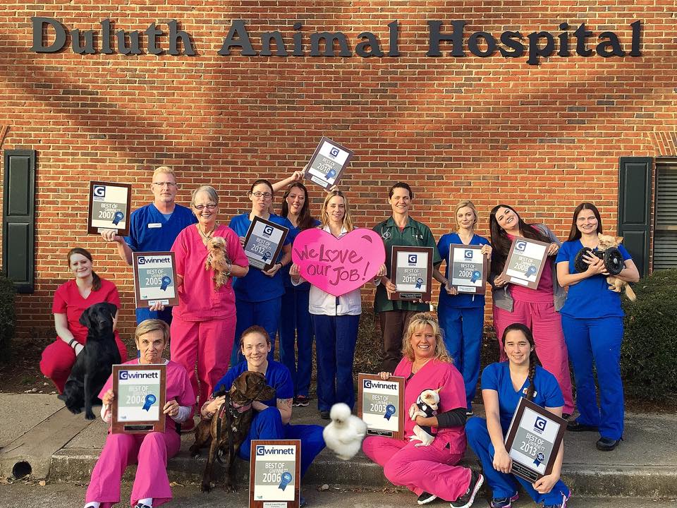 Duluth Animal Hospital