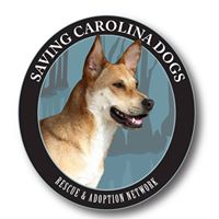 Saving Carolina Dogs Rescue & Adoption Network