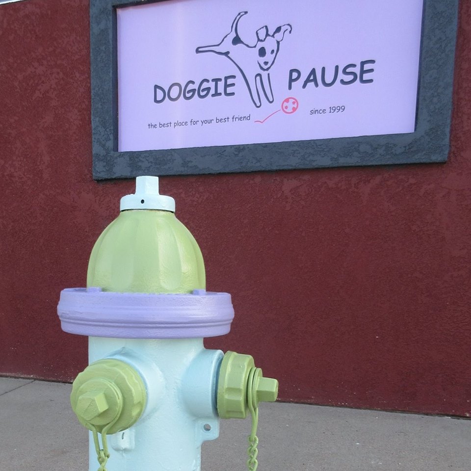 Doggie Pause