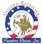 Golden Retriever Freedom Rescue