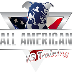 Dog Trainers Reno – All American K9 Training