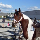 Kentucky Horse Supply Inc