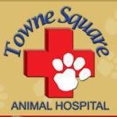 Towne Square Animal Hospital