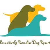 Pawsitively Paradise Dog Resort