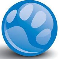 BluePearl Veterinary Partners