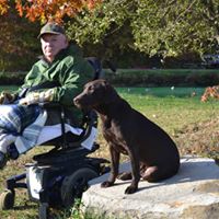 Amberwood Kennels