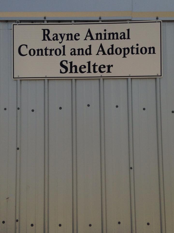 City of Rayne Animal Shelter