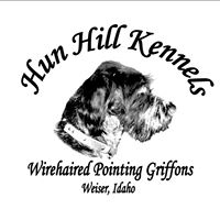 hun hill kennel