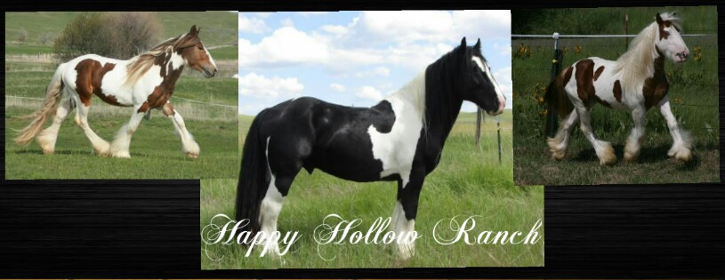 Happy Hollow Ranch