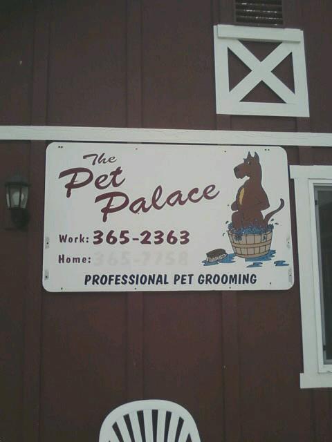 The Pet Palace