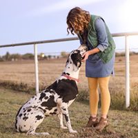 Dr. Holly Lunsford – Veterinarian and Animal Chiropractor