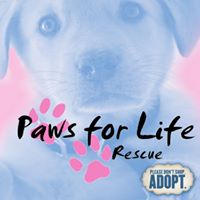 Paws For Life Rescue