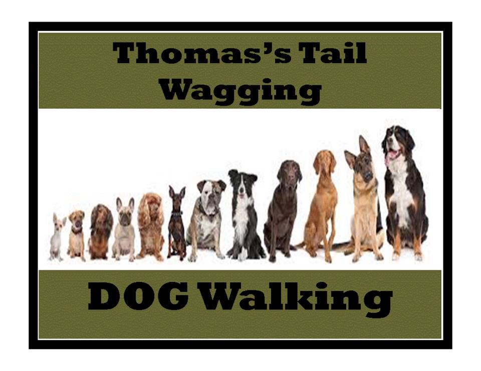 Thomas’s Tail Waggin Dog Walking