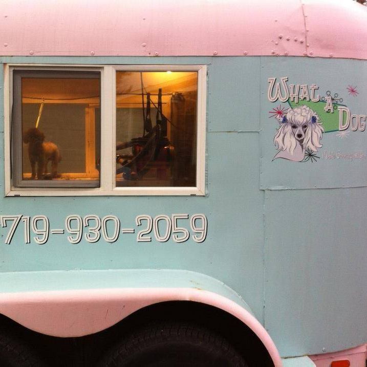 What A Dog Mobile Grooming & Spa