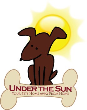 Under the Sun Doggie Daycare & Private Dog Park