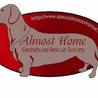 Almost Home Dachshund Rescue Society