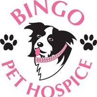 Bingo Pet Hospice