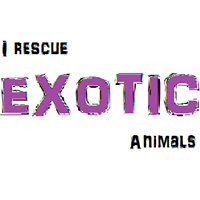 Exotic animal rescue