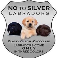 EverOak Labradors