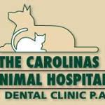 The Carolinas Animal Hospital and Dental Clinic