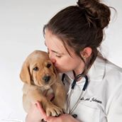 Compassionate Care Veterinary Hospital of Charlotte