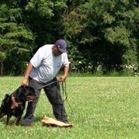 Guernsey Rivers Rottweiler Kennel