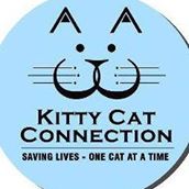 Kitty Cat Connection, Inc.