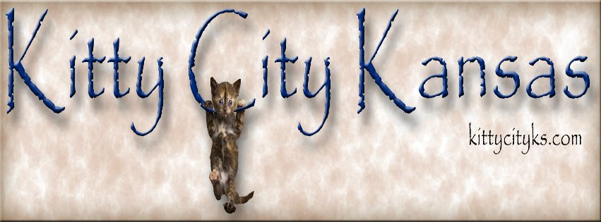 Kitty City Kansas Rescue