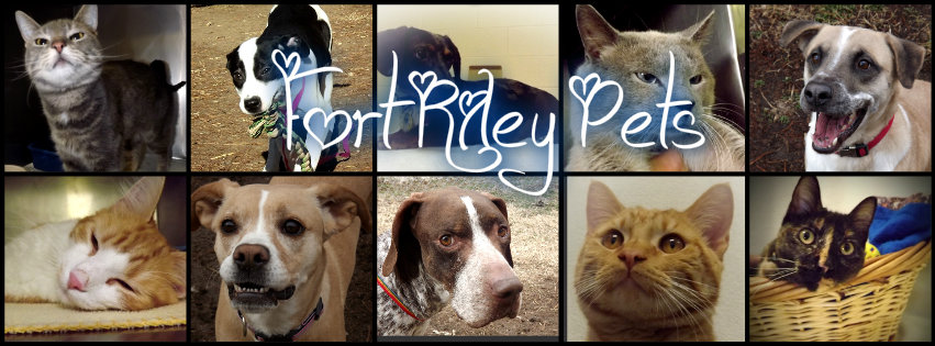 Fort Riley Pets