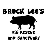 Brock Lee’s Pig Rescue & Sanctuary