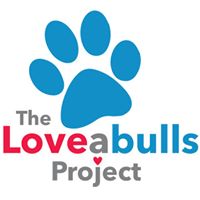 The Loveabulls Project