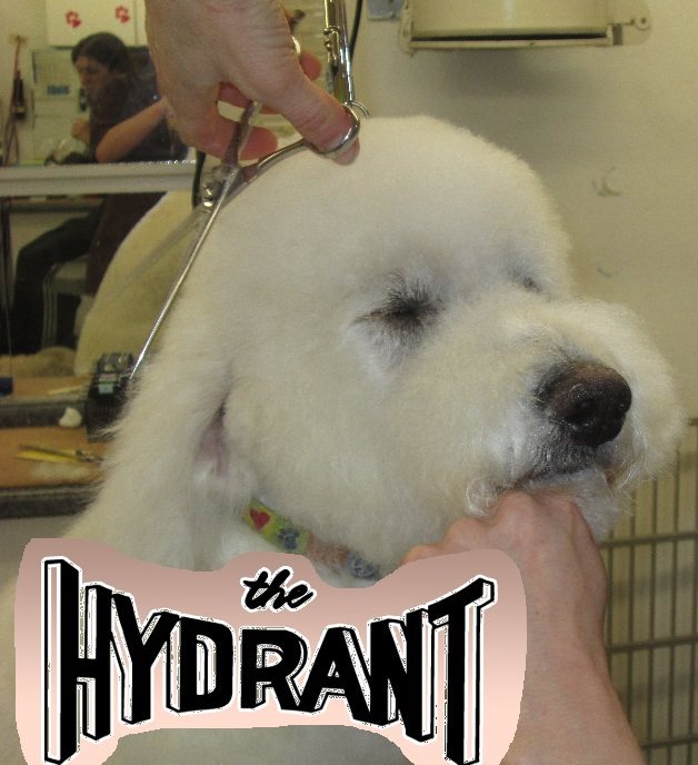 The Hydrant Dog Grooming Service