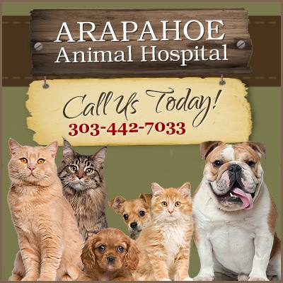 Arapahoe Animal Hospital