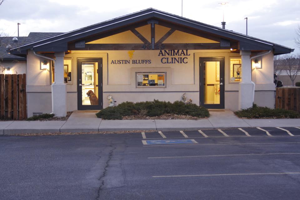 Austin Bluffs Animal Clinic