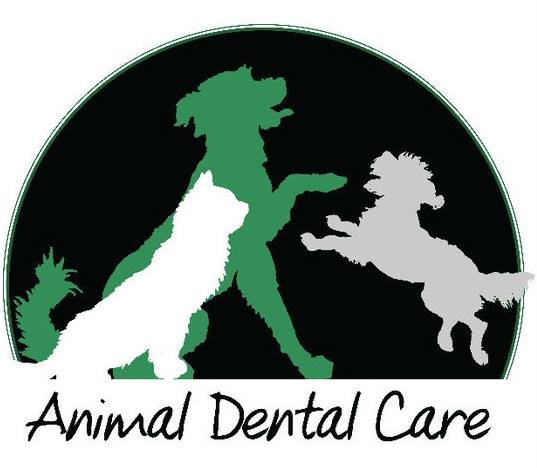 Animal Dental Care