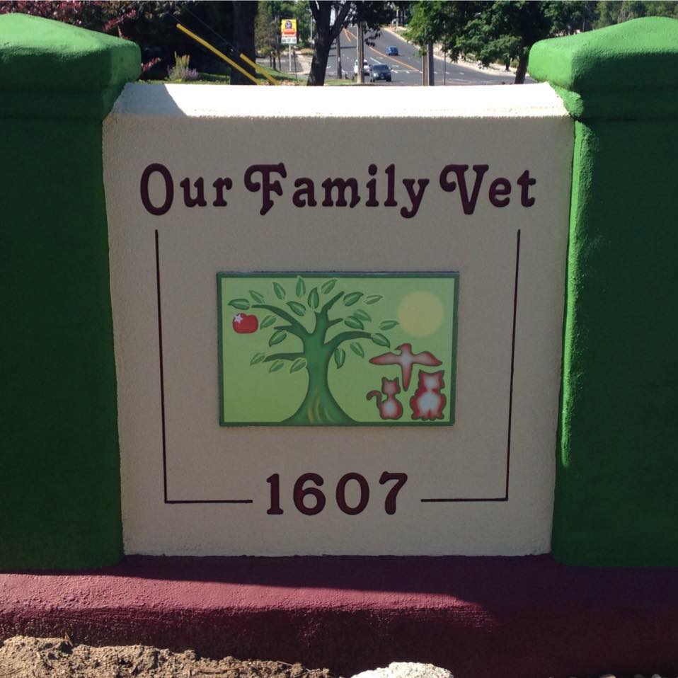 Our Family Vet