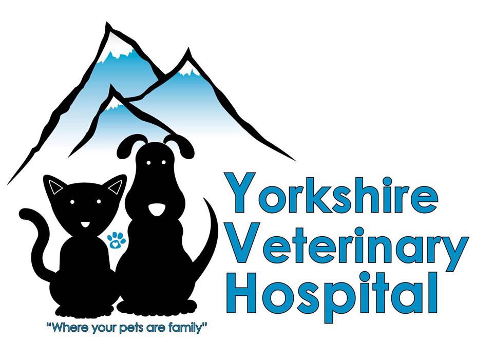 Yorkshire Veterinary Hospital