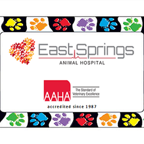 East Springs Animal Hospital