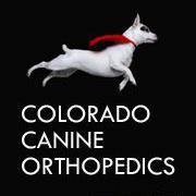 Colorado Canine Orthopedics