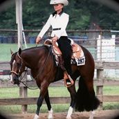 Quatre Saisons Equine Center