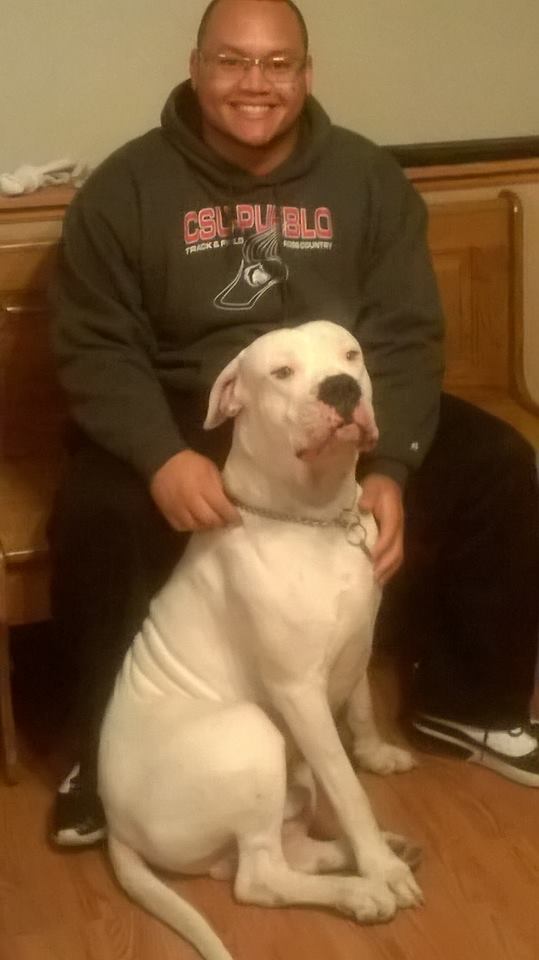 Palace Guard Dogo Argentino Kennel