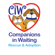 Companions In Waiting