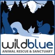 Wild Blue Animal Rescue and Sanctuary