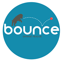 Bounce Animal Rescue